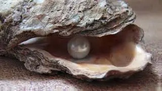 Life is easy. Take it easy -Video 90