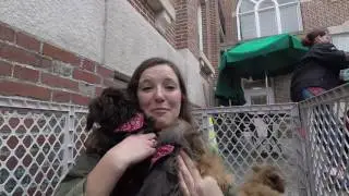 Adorable Baby Animals Come to Campus for Cuddling