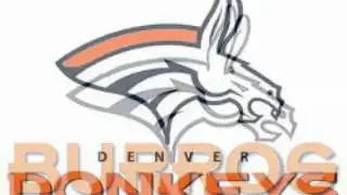 BRONCOS SUCK!!!
