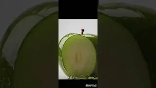 satisfying Apple cutting video🍏💫