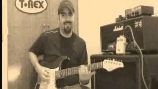 T-Rex Tonebug Reverb