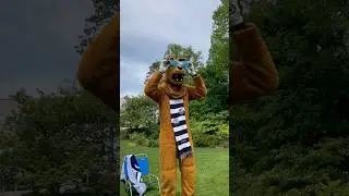 Celebrating National Pool Day with the Penn State Nittany Lion 😎🦁 #PennState #nittanylions