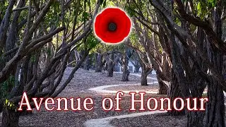 Avenue of Honour