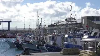 EED Pedro Maza Pesca