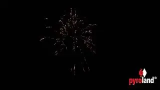 Profi-Feuerwerk-Bombe  Golden Star - Diamond