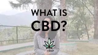 What is CBD? | CBD in India