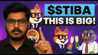 Crypto Presale Wall Street Shiba ($STIBA) 🔥The Next 100x Project?