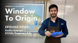 Window to Origin - Episode Four: Emilio Estevez