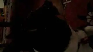 Benji sings the archers theme tune!