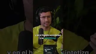 &iexcl;Debate Explosivo! 💥🔥 &iexcl;Brownies vs. Gomitas Cann&aacute;bicas!  Desc&uacute;brelo Ahora 🤯🍻