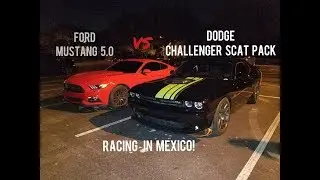 Turbo EP3 Civic Si vs Mustang 5.0 vs Dodge Challenger Scat Pack & BMW 135i
