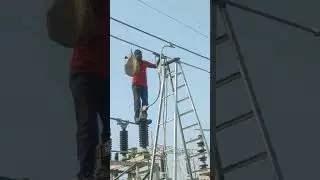 zebra conductor fireways in 220kv getco/220kv/132kv/33kv substation 220kv switchyard #shorts #viral