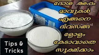 അപ്പം , ദോശ മാവുകൾ കേടാവാതെ എങ്ങനെ ദിവസങ്ങളോളം സൂക്ഷിക്കാം |  How to store Appam & iddli batter