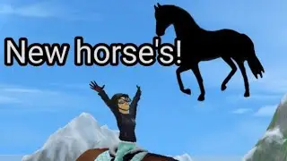 Buying two new horse's | star stable |