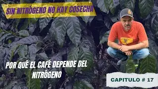 ¿Por qué el nitrógeno define la producción del café? ☕🌱 #nutricióninteligente #coffee 