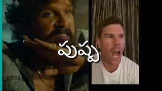 Warner says pushpa dilogue#taggedele #pushpa #pishpa#warner