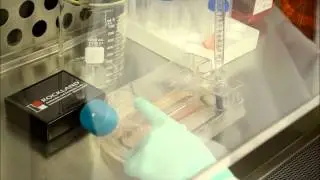 WHEATON CELLine 1000 Flask Demonstration