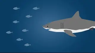 Shark Organ Jelly Exhibits High Proton Conductivity