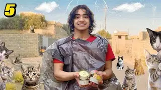 اطعمنا 100 قطة/I fed 100 cats