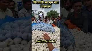 Aaj ka lahsun ka bhav। #Garlic #lahsunkabhav #garlicratetoday #mandi bhav । garlic price