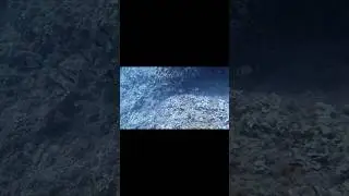 #Shorts #Buceo #Javea #Xabia #CuevaDeLaVirgen #AventuraSubmarina #BuceoEspa&ntilde;a #UnderwaterCave
