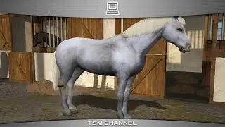 Let's Ride! Riding Star / Riding Star 3 (part 5) (Horse Game)