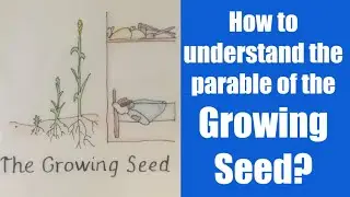 How to understand the parable of the growing seed (Mark 4:26&ndash;29)?