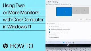 Using Two or More Monitors with One Computer in Windows 11 | HP Computers | HP Support