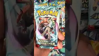 Pull or Pass? &ndash; Episode 110&ndash;  Scarlet & Violet Journey Together (Volume 4)