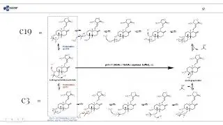Chemical Synthesis and Hammett LFER controlled Hydrolytic Stability of a Library of Andrographolide