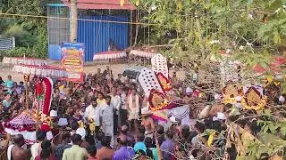 Haripad kanjoor sree durga devi temple #kanjoor #alappuzha #haripad #viralvideo #viralshorts 