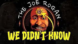 The Full Story of Joe Rogan