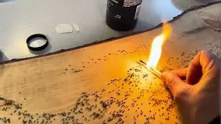 Charissa Wilson Gunpowder Art