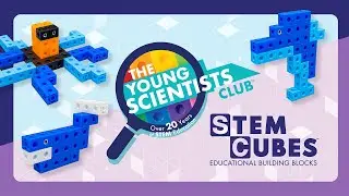 The Young Scientists Club Ocean Animals STEM Cubes