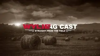Life and Agriculture in the Rio Grande Valley with Darryl Richmond | The Wylie AgCast