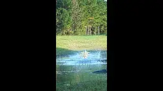 High Alpha GONE WRONG #shorts #rcplane #aviation