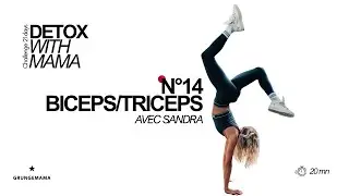BICEPS/TRICEPS W/ SANDRA