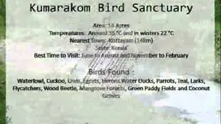 Top 10 Bird Sanctuaries in India