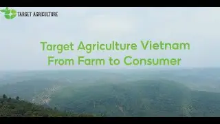 Vietnam Organic Cashew - From Farm to Consumer