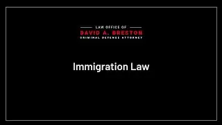 David A. Breston - Houston Immigration Lawyer