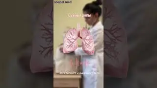ЧТО ВРАЧИ СЛЫШАТ В НАШИХ ЛЕГКИХ?|SCALPEL.MED