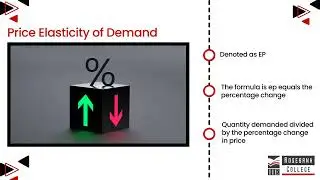 Explain the Meaning of a Specific Elasticity Coefficient (LU5/LO3)
