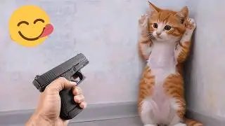You Laugh You Restart 😻 Funniest Cats and Dogs 2026 💖 🐩