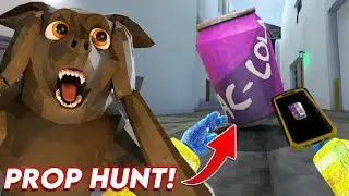 Prop Hunt in Animal Company