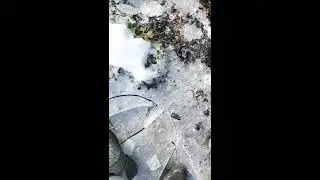 ASMR Ice Cracking/Snow Crunching And Back Yard Tapping