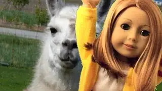 ♫ If You Gave Me a LLAMA ♫ vine remake
