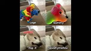 Dog photo ai generated