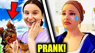 Ich habe einen HUND GEKAUFT ! 😳 (Schwester weint) - Celina