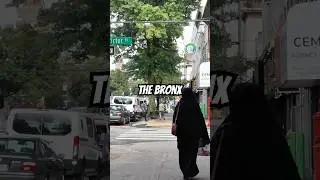 Bronx Morris Park Avenue 4K Walking Tour New York