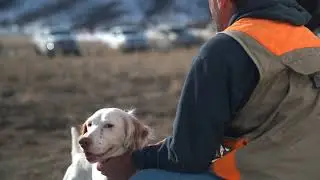 NSTRA Pointing Dog Trial